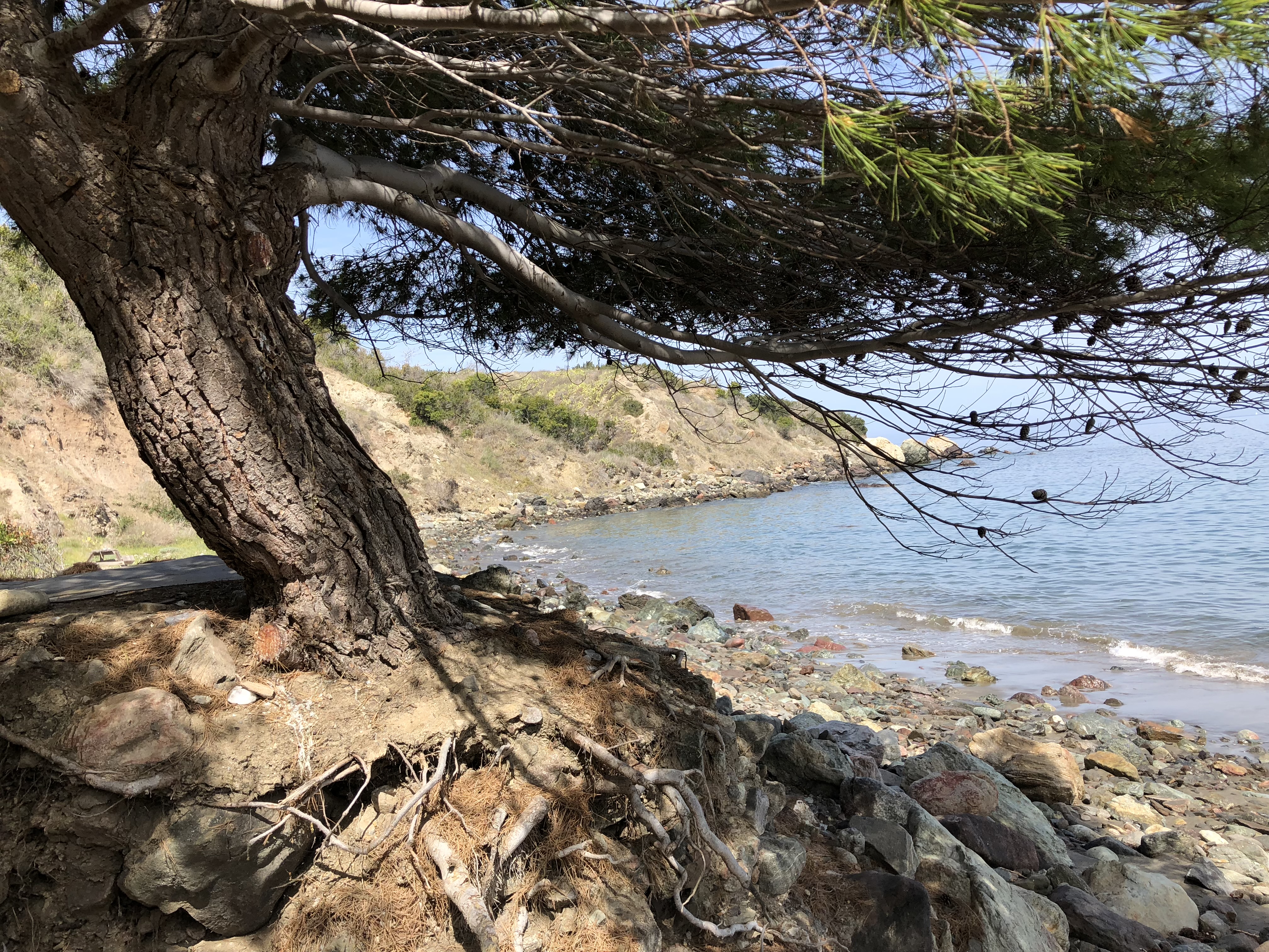 Rippers Cove